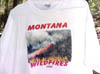Montana Fires